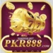 PKR 888