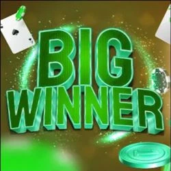 Big Winner Pro