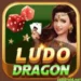 Ludo Dragon