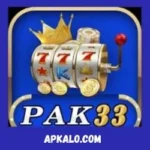 Pak33 Game