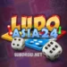 Ludo Asia