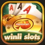 WInli Slots