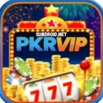 Pkr Vip