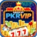 Pkr Vip