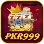 PKR 999