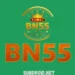 Bn55 Game